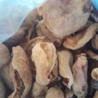 برگه زرد الو