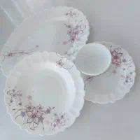 ظروف آرکوپال|ظروف سرو و پذیرایی|سرپل ذهاب, |دیوار