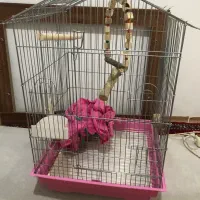 قفس پرنده