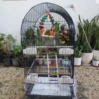 قفس کاسکو طوطی سانان نو بالوازم 900بدون لوازم 750