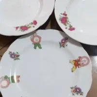 بشقاب چینی گل سرخی|ظروف سرو و پذیرایی|رشت, رشتیان|دیوار