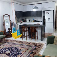 خا نه ی ۱۱۰ متری ،دو خواب ، طبقه ی همکف، شکری۱۹