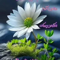 باغ در دهاقان