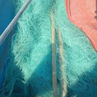 تور قبادی نخ ۴۵و ۶۰  بندر دیر