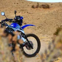 تریل ۲۰۰ دایچی