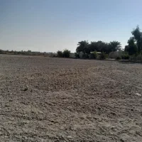 کوی-سیاحی-خ-فلاح-فرعی-6