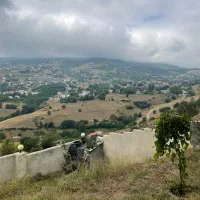 باغچه نقلی کم خرج