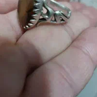 چهارتا انگشترنقره.|جواهرات|باغستان, |دیوار