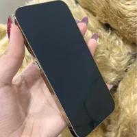 13 Pro|موبایل|امیدیه, |دیوار