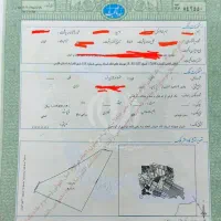زمین-مشاع-سندتگ-برگ-گردخون