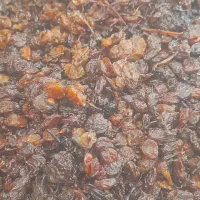 کشمش قوچانی ۱۶۰/۰۰۰