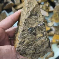 سنگ شجرکلکسیونی|کلکسیون اشیاء عتیقه|مشهد, هفده شهریور|دیوار