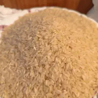 برنج کامفیروزی|خوردنی و آشامیدنی|صدرا-فارس, فاز ۱|دیوار