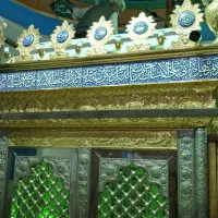 فعال در زمینه رسانه