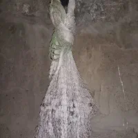 تور پرتابی ماهیگیری