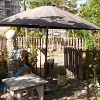 سه عدد چتر باغی