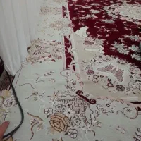 قالی|فرش|بجنورد, |دیوار