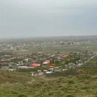 زمین-باغی