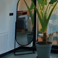 طرح فروش ویژه آینه قدی در شمال کشور