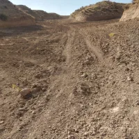 فروش زمین دیم