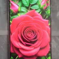 گوشی سامسونگ A73|موبایل|تهران, جمهوری|دیوار