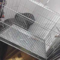 قفس سهره دستی