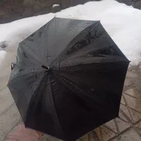 چتر گم کردم