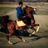 نریان سیلمی کره طوفان جنتیان&اسطوره مهتاب