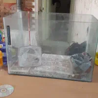 اکواریوم شیشه خم
