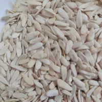 بزر خیار ترک درجه یک