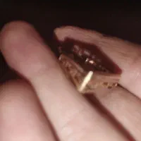 گمشده|جواهرات|شیراز, مهدی‌آباد|دیوار