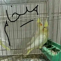 توضیحات بخون