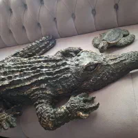 ماه دیوار کوب قاب ایینه قاب عکس مجسمه لاکپشت تمساح|مجسمه، تندیس، ماکت|تهران, ستارخان|دیوار