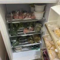 فریزر|یخچال و فریزر|رشت, چله خانه|دیوار