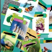 انواع کتاب درسی دهم و یازدهم و دوازدهم انسانی