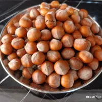 فندق درجه یک