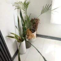 فروش گلدان جا کفشی آب سرد کن