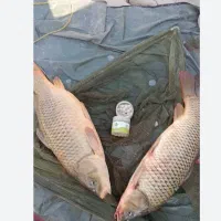 ماهیگیری با طعمه پاشی در دریا|ماهیگیری|فرح آباد, |دیوار