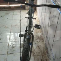 دوچرخه آساک|دوچرخه، اسکیت، اسکوتر|خاش, |دیوار