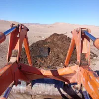 کود گاوی متری ۷۰۰تومان