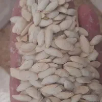 عمده فروشی انواع تخمه و میوه خشک|عمده‌فروشی|تهران, کامرانیه|دیوار