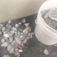 کارآگاه زیورآلات|جواهرات|جم, |دیوار