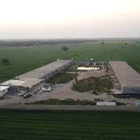 مرغداری صنعتی اهواز