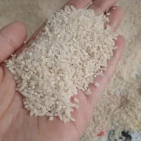 نیم دانه هاشمی