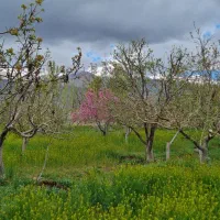 زمین-ویلایی-توضیحات-مهم
