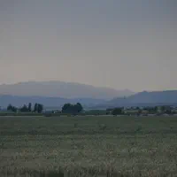 فروش و اجاره ده هکتار|فروش دفتر صنعتی، کشاورزی، تجاری|دهرم, |دیوار