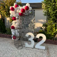 بادکنک آرایی افتتاحیه/ باند،صندلی تاشو|خدمات پذیرایی، مراسم|پرند, فاز ۰|دیوار