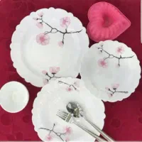 ۴سرویس ارکوپال