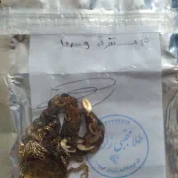 طلا شکسته با فاکتور|جواهرات|تهران, تختی|دیوار