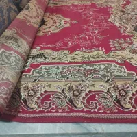 قالی ۱۲ متری|فرش|خورموج, |دیوار